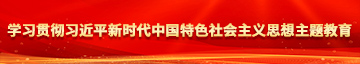 插鸡网站在线免费观看学习贯彻习近平新时代中国特色社会主义思想主题教育